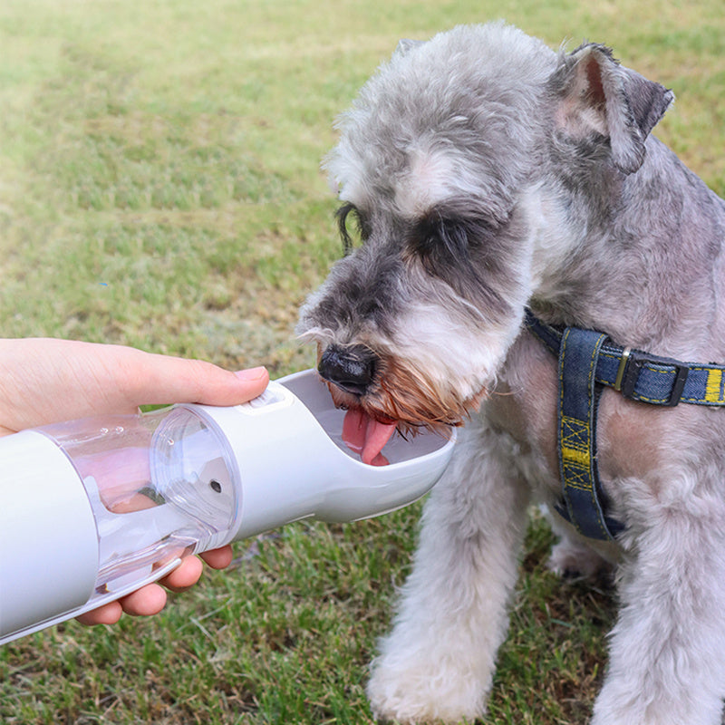 Portable Pet Water Bottle with Built-in Bowl – Perfect for On-the-Go Hydration